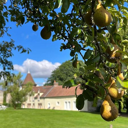 Le Petit Chateau Baye  Exteriör bild