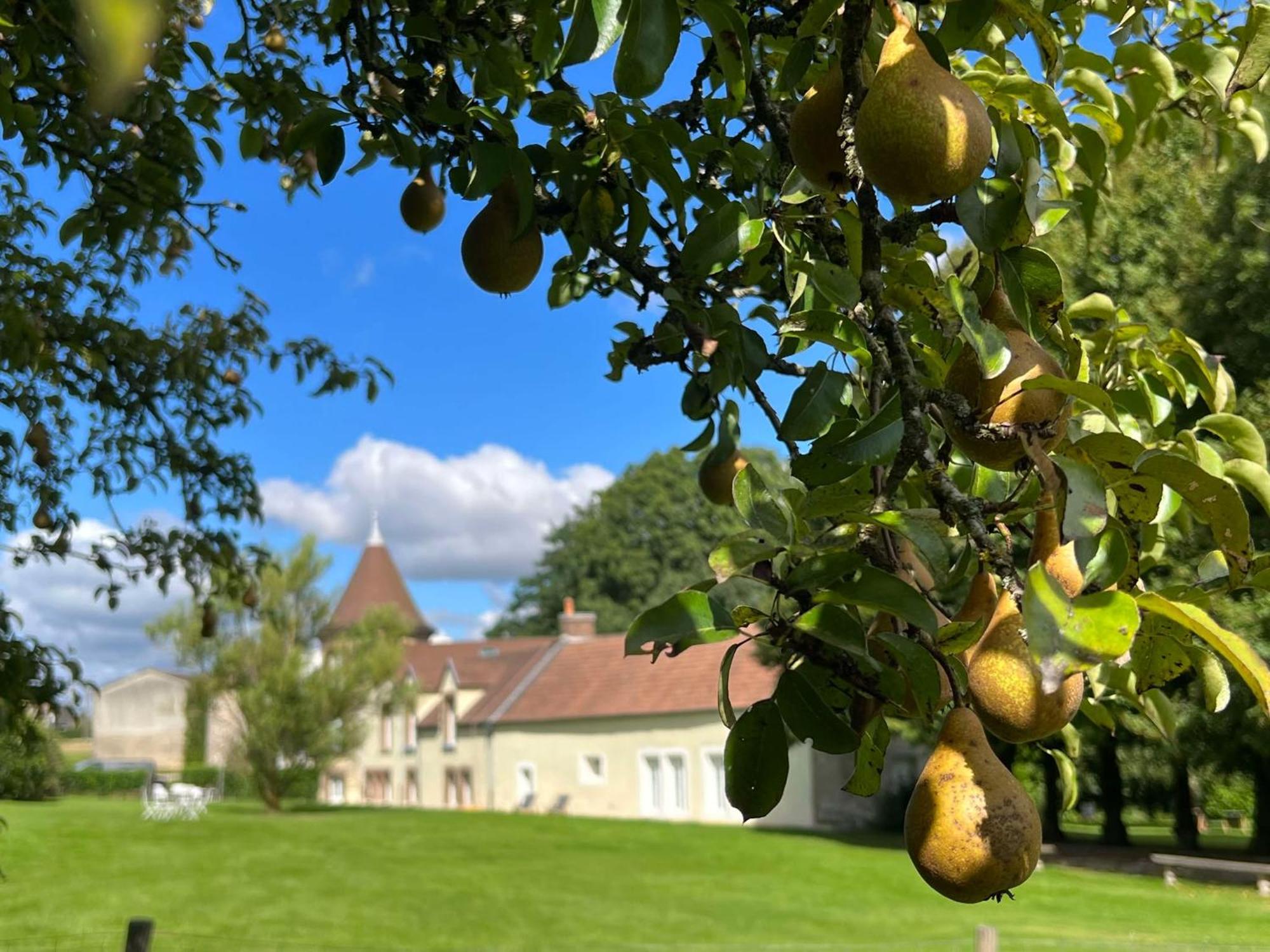 Le Petit Chateau Baye  Exteriör bild